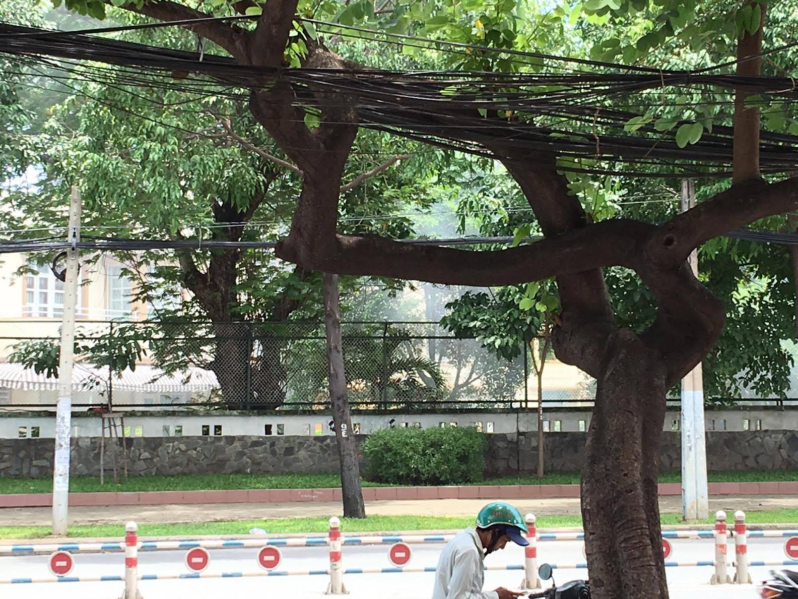 Ô[-]nhiễm[-]không[-]khí[-]ở[-]khu[-]vực[-]Nhà[-]Khách[-]Chính[-]Phủ[-]Lý[-]Thái[-]Tổ,[-]Quận[-]3,[-]Thành[-]Phố[-]Hồ[-]Chí[-]Minh[-]